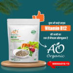B12 and the Power of Plant-Based Green Food Powder